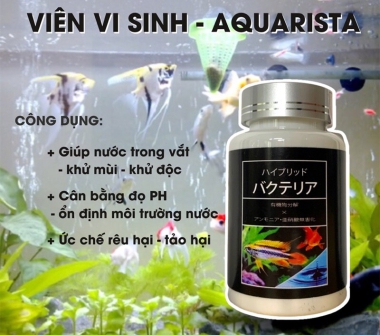 VIÊN NÉN VI SINH AQUARISTA - BÍ QUYẾT NUÔI CÁ KHỎE